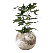 Spherical fibreglass planter, DLG Willy Guhl, 1960s