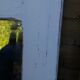 Solid wood mirror Patiné Old Vintage 62x170cm