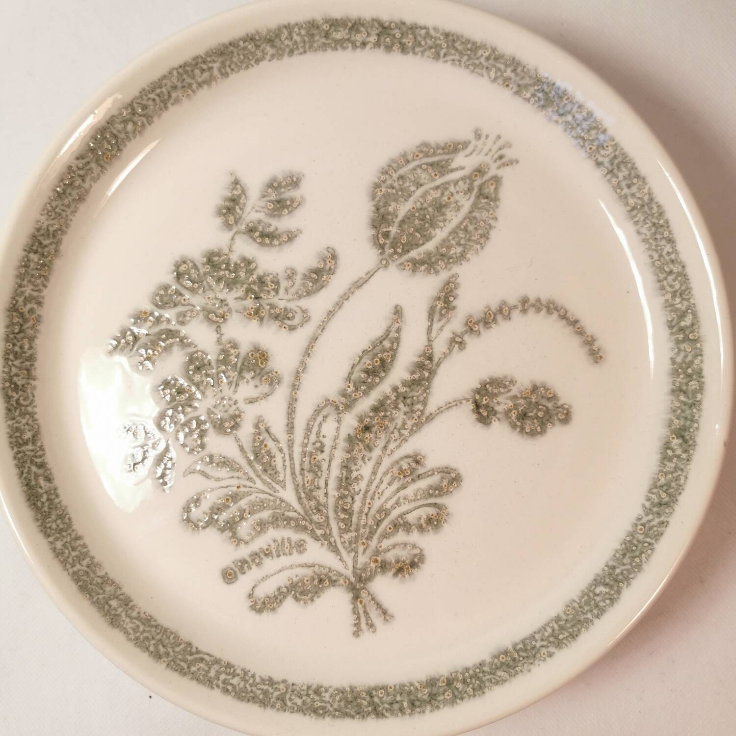 6 Ceramic Plates Vintage Botanical Floral Decor TBE