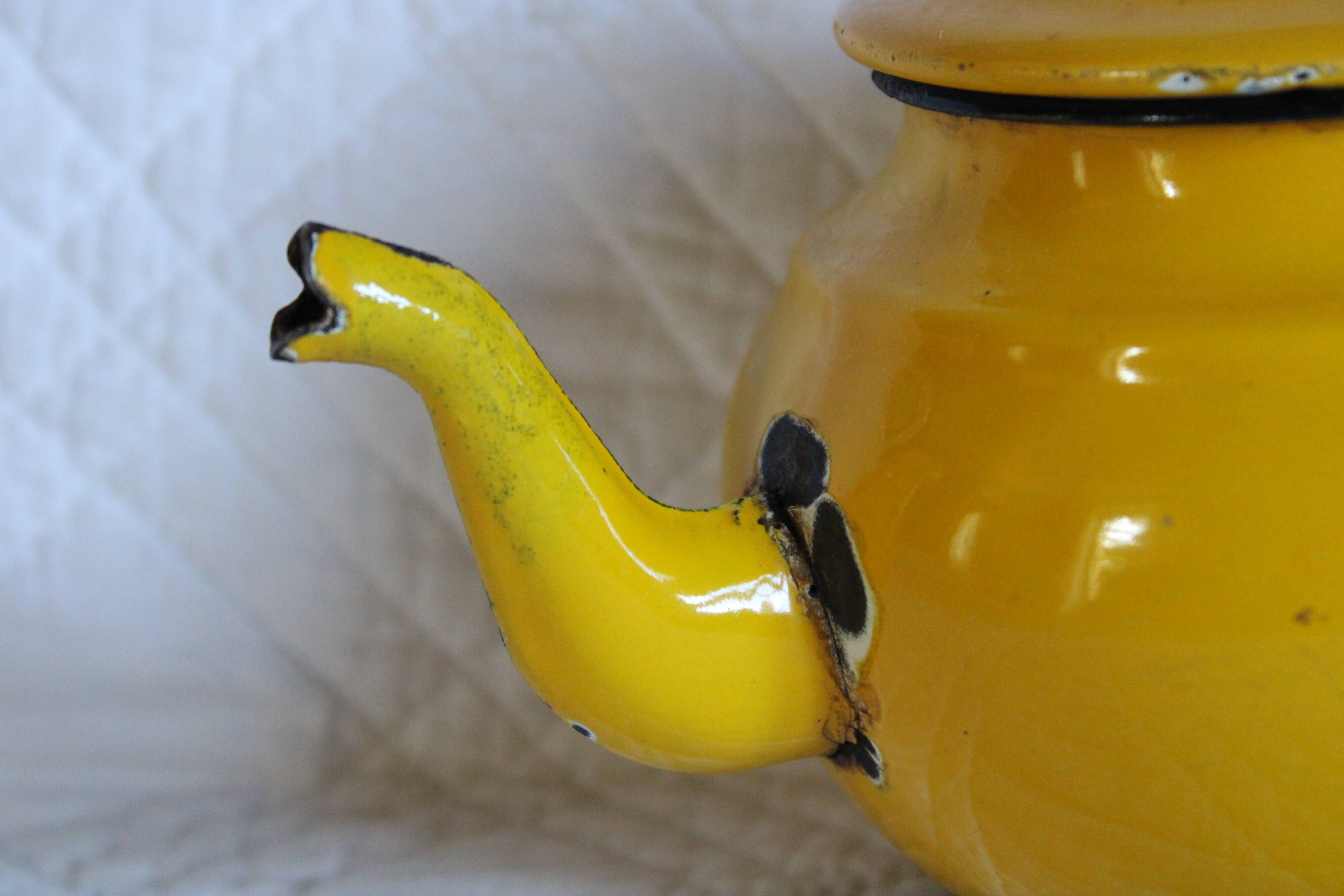 Ancient enamelled teapot