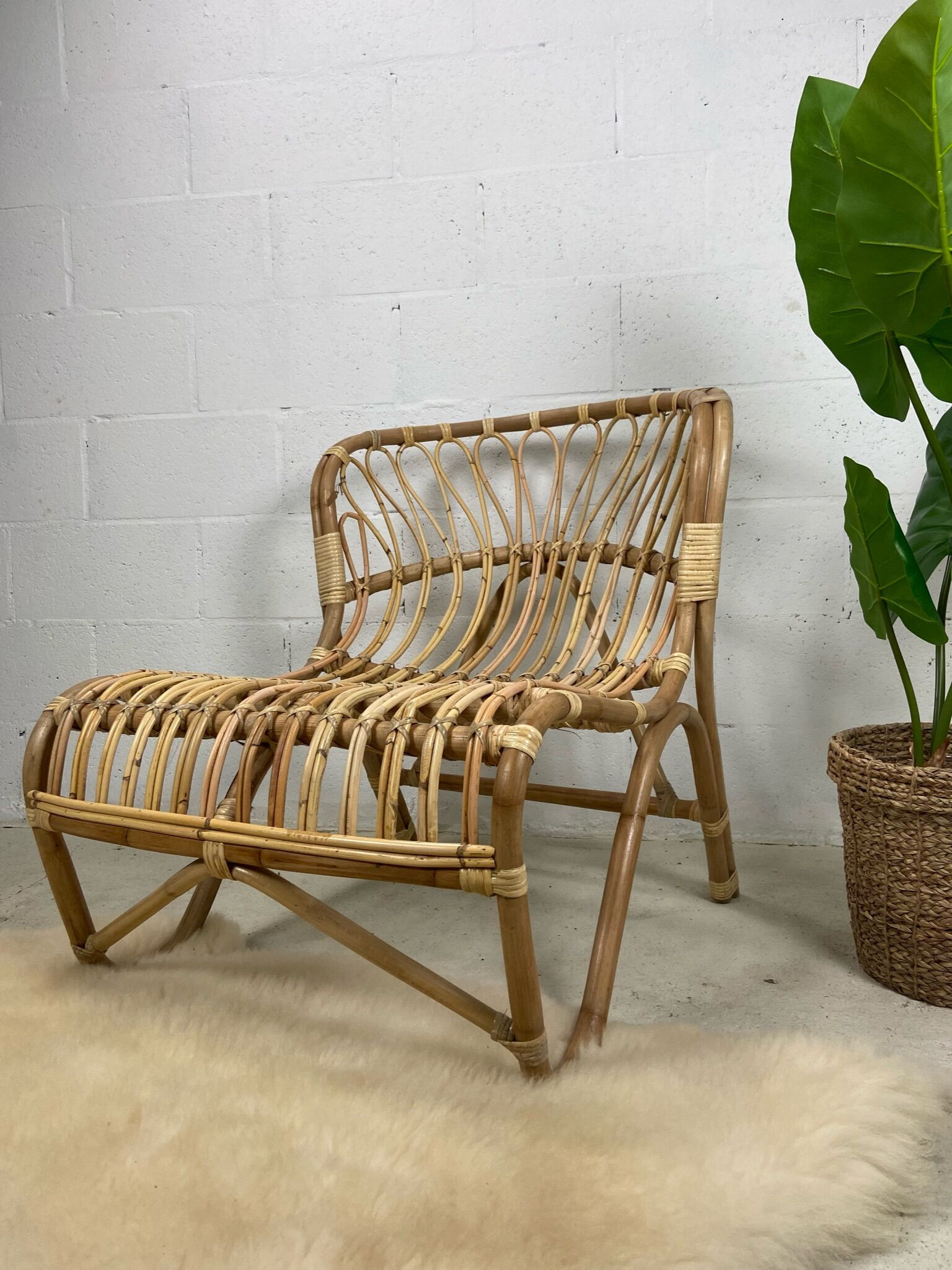 Chair rattan peacock