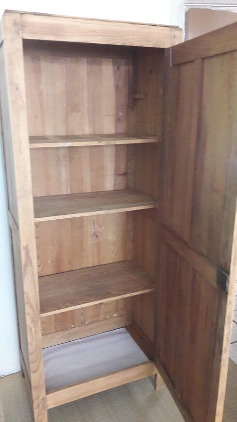 Paris wardrobe door