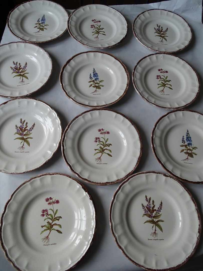 11 Plates decor plants , faience "'a d p" Haute Provence.