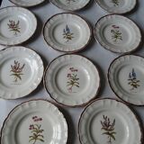 11 Plates decor plants , faience "'a d p" Haute Provence.