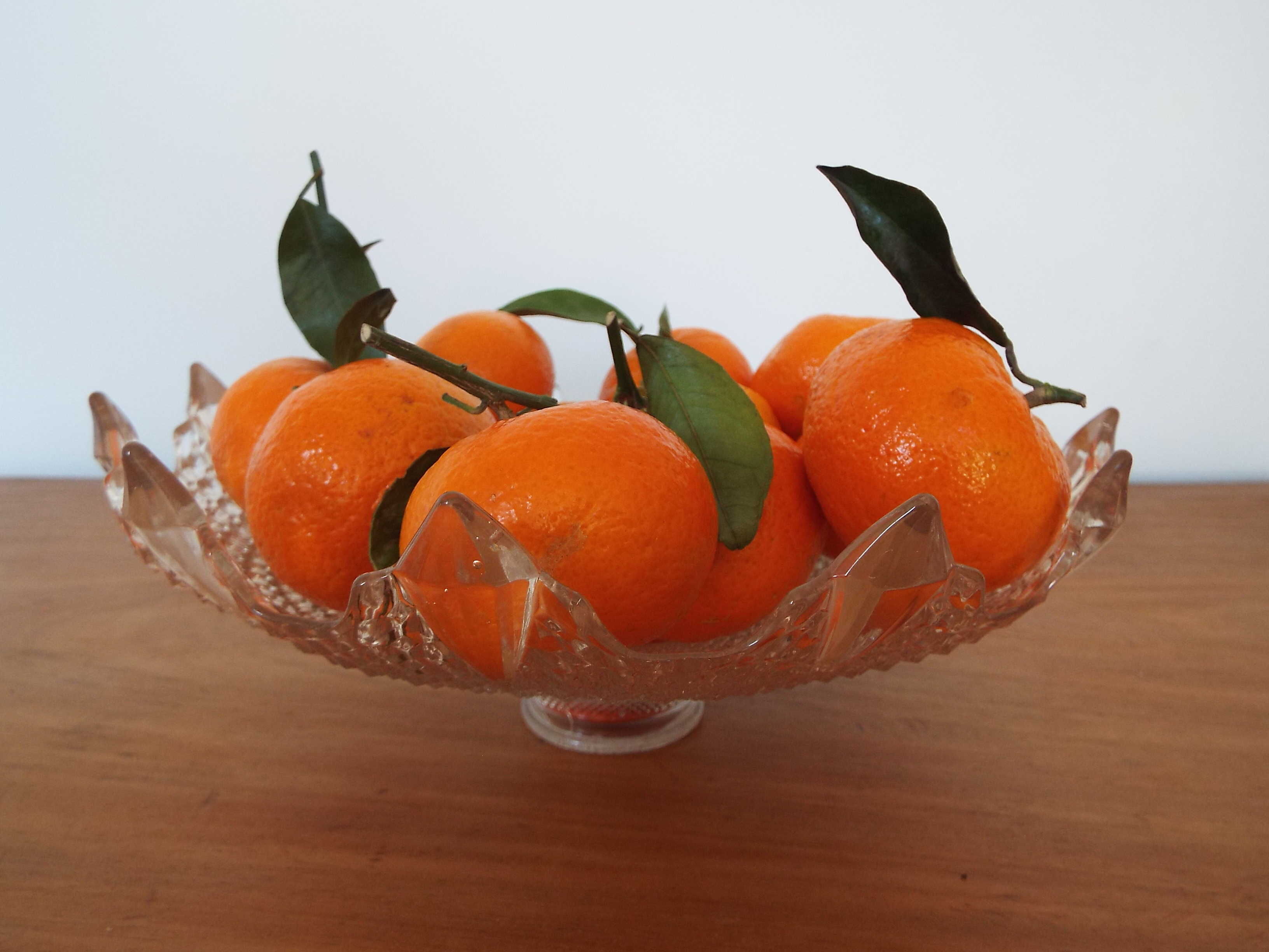 molded glass lampshade