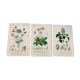 Trio of botanical engravings 19th century