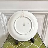 Decorative ceramic plate