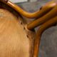 Mundus Vienna Austria 1910 curved wood bistro chair