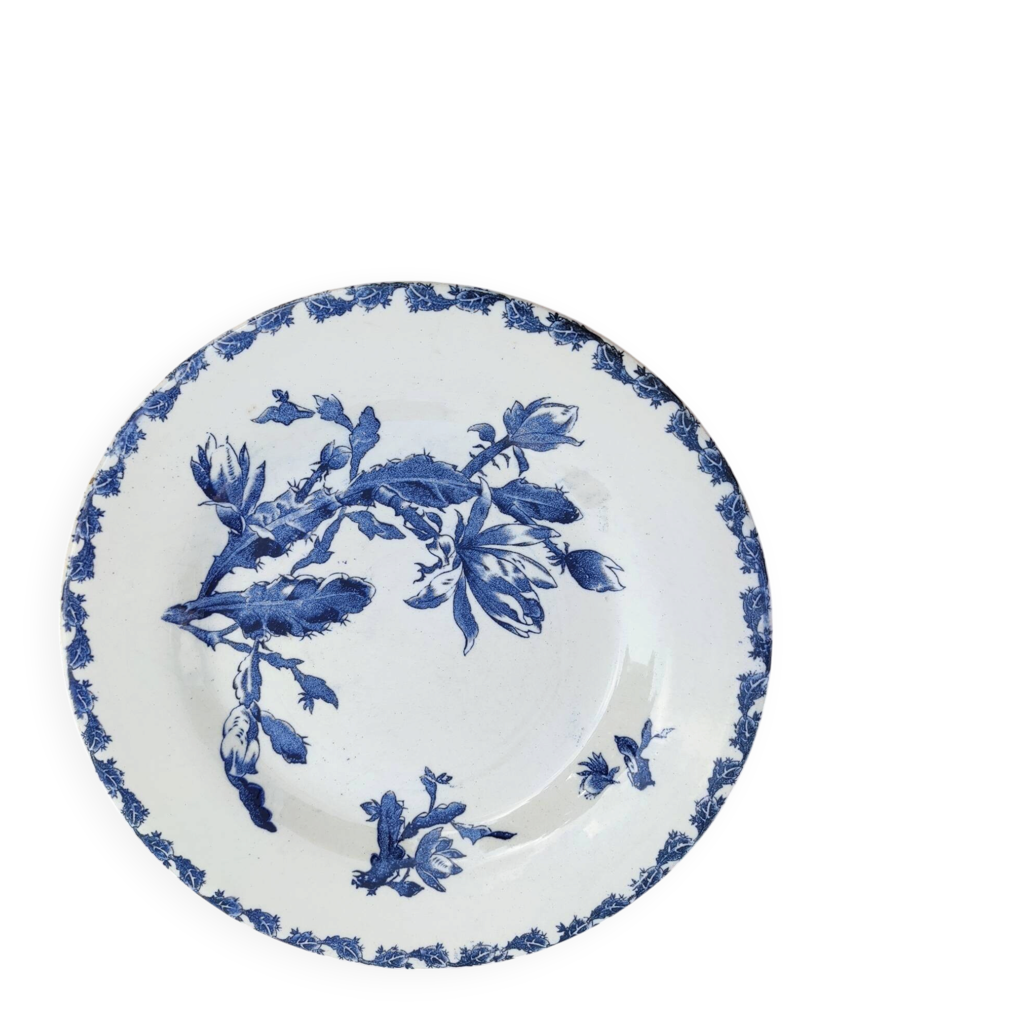 6 flat plates made of Gien earthenware - ironstone - cactus model