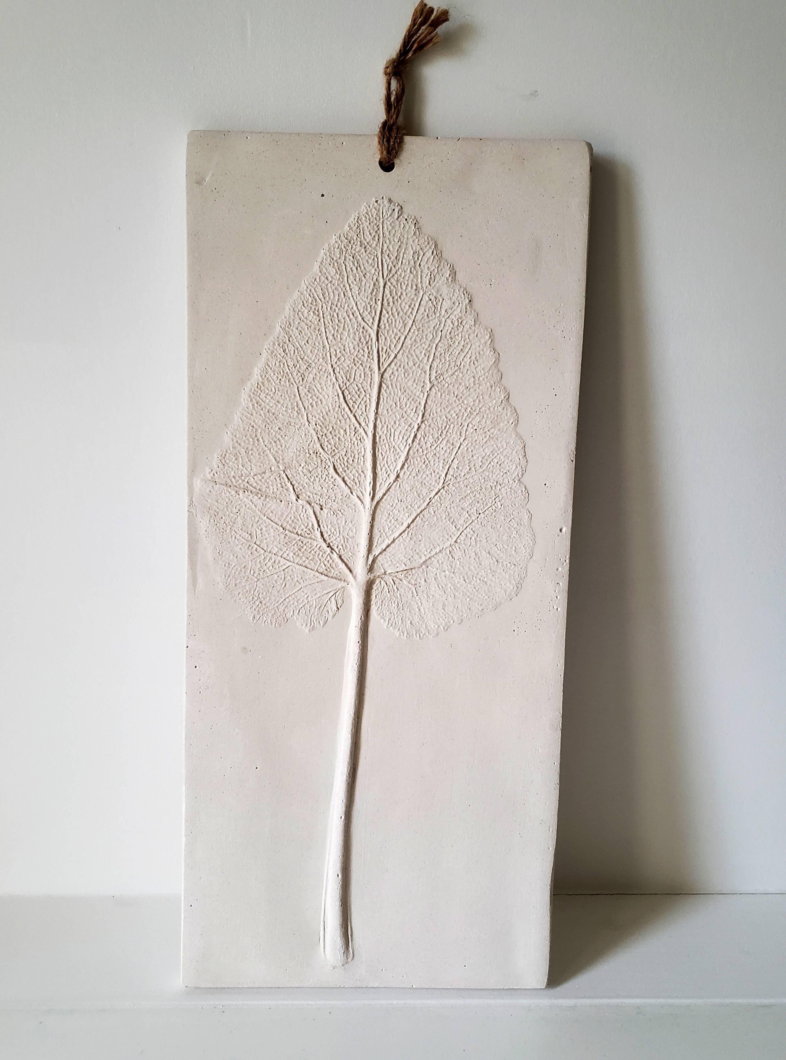 Plaster plant footprint