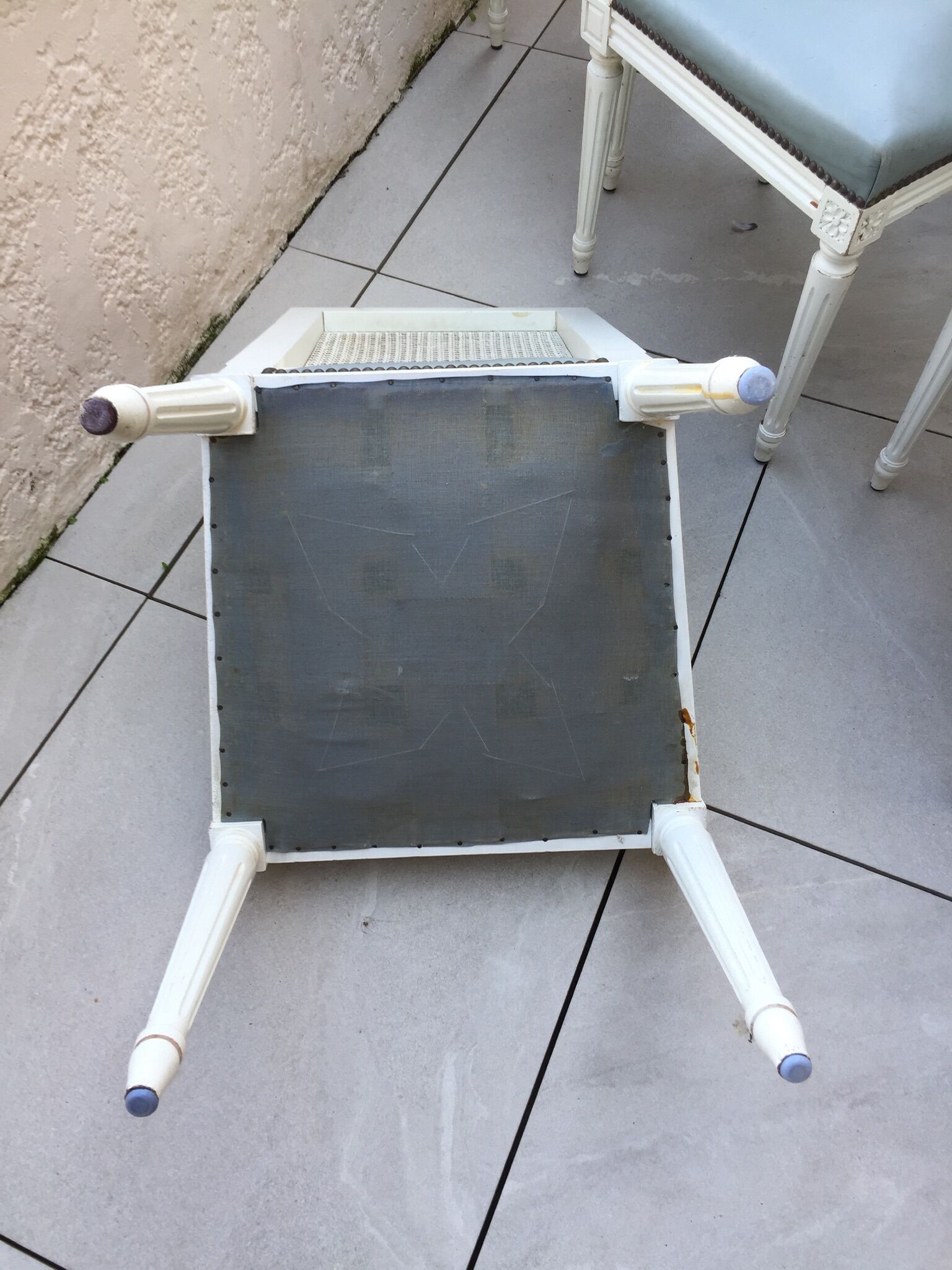 6 Louis XVI style chairs with canned back and leather seat