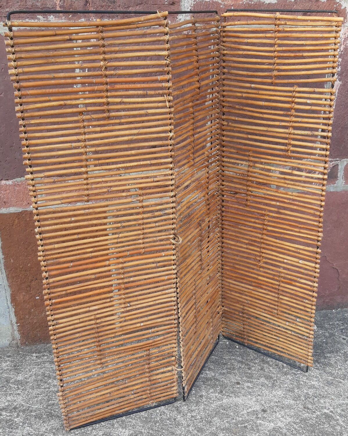 Bamboo screen year 60