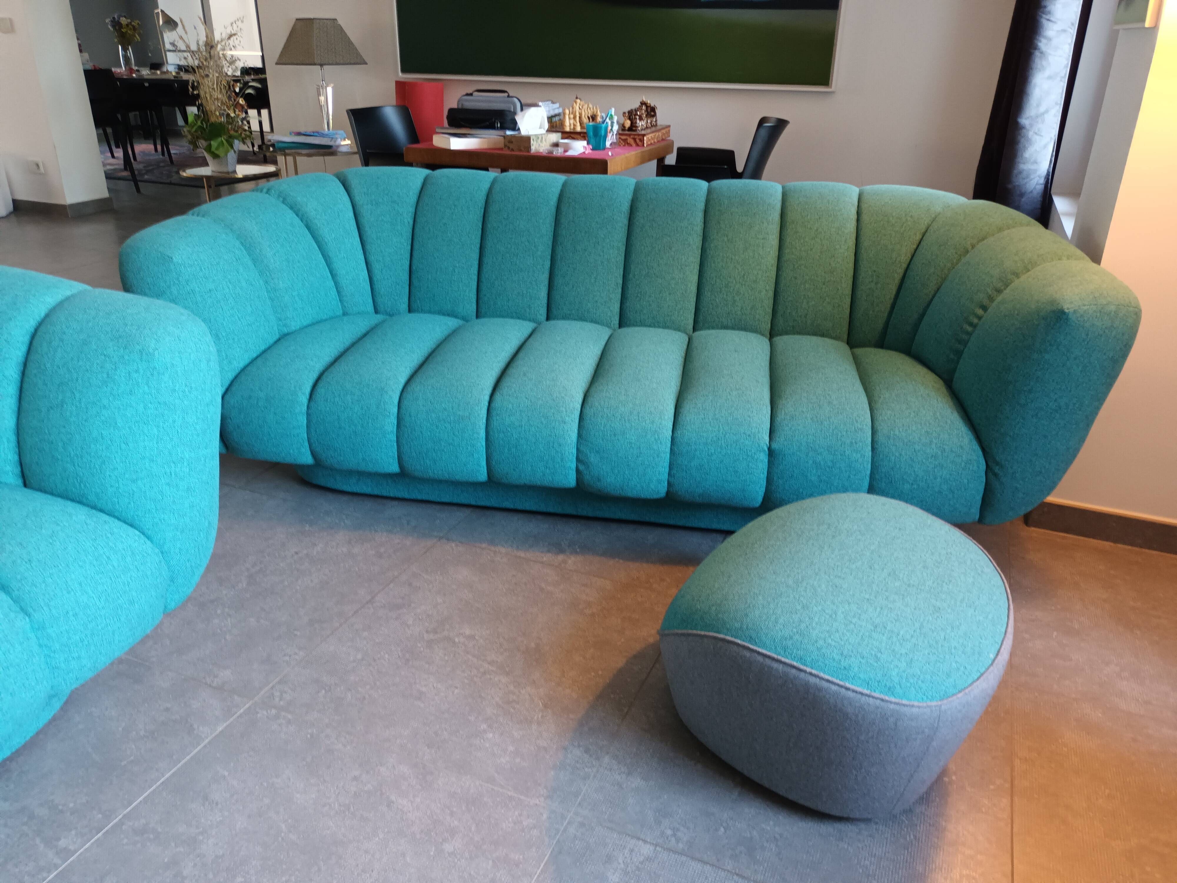 Set of 2 sofas and 2 poufs by Roche Bobois.