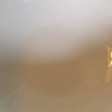 Sarreguemines salad bowl