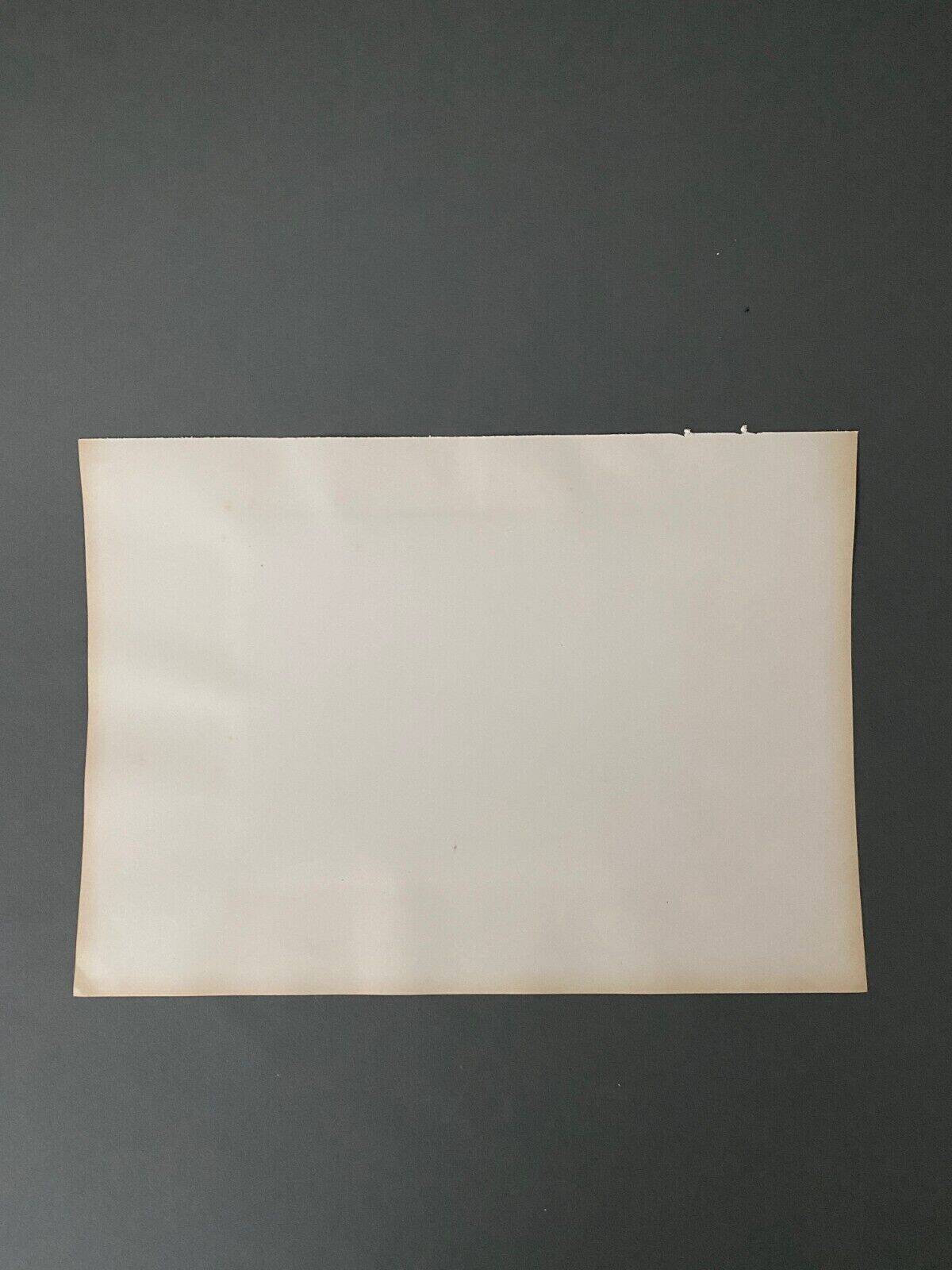 Photo Vienne - Public Garden 19th century albumen laminated cardboard