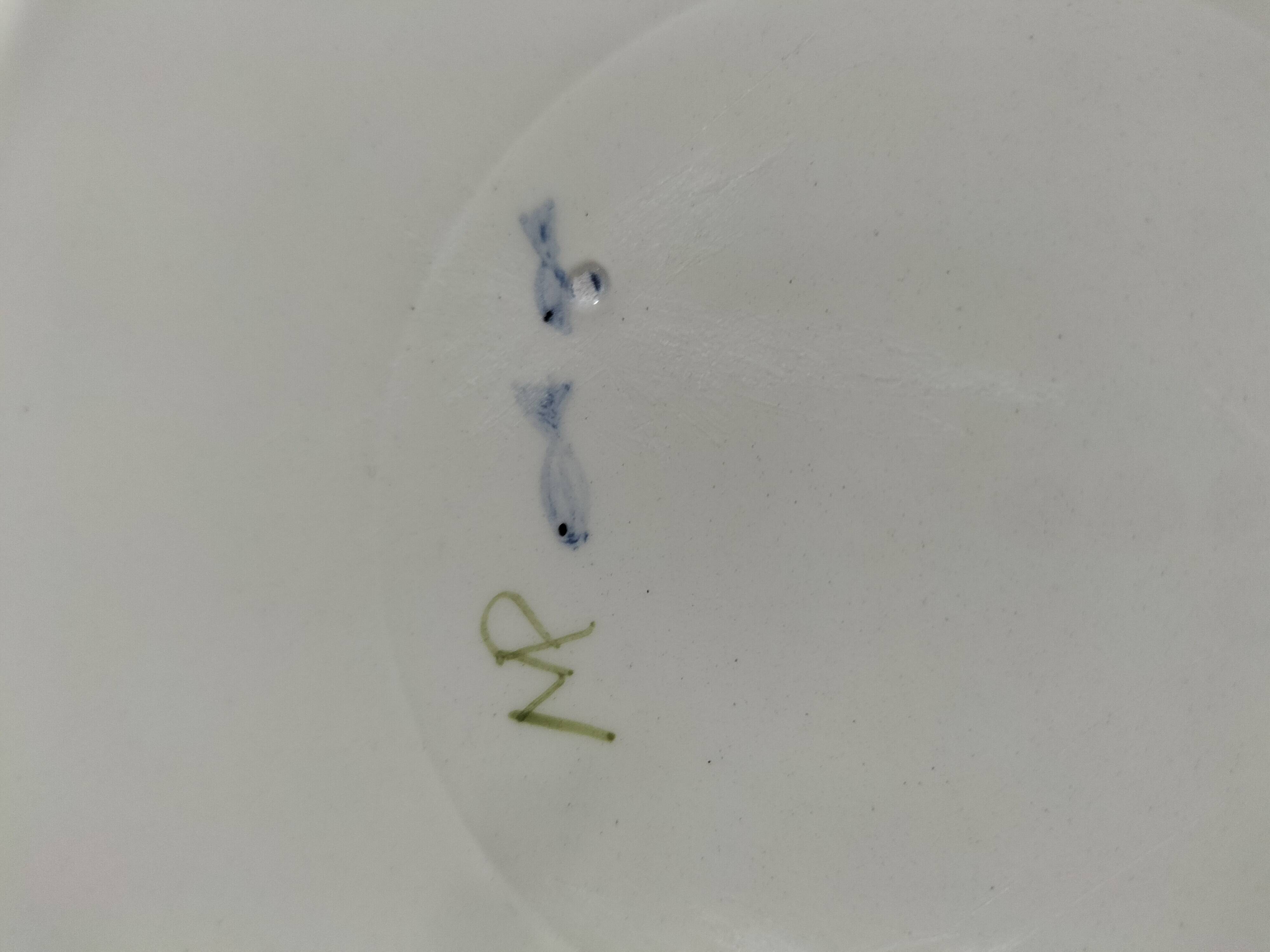 Set of two large ceramic plates – fish "head to tail" design