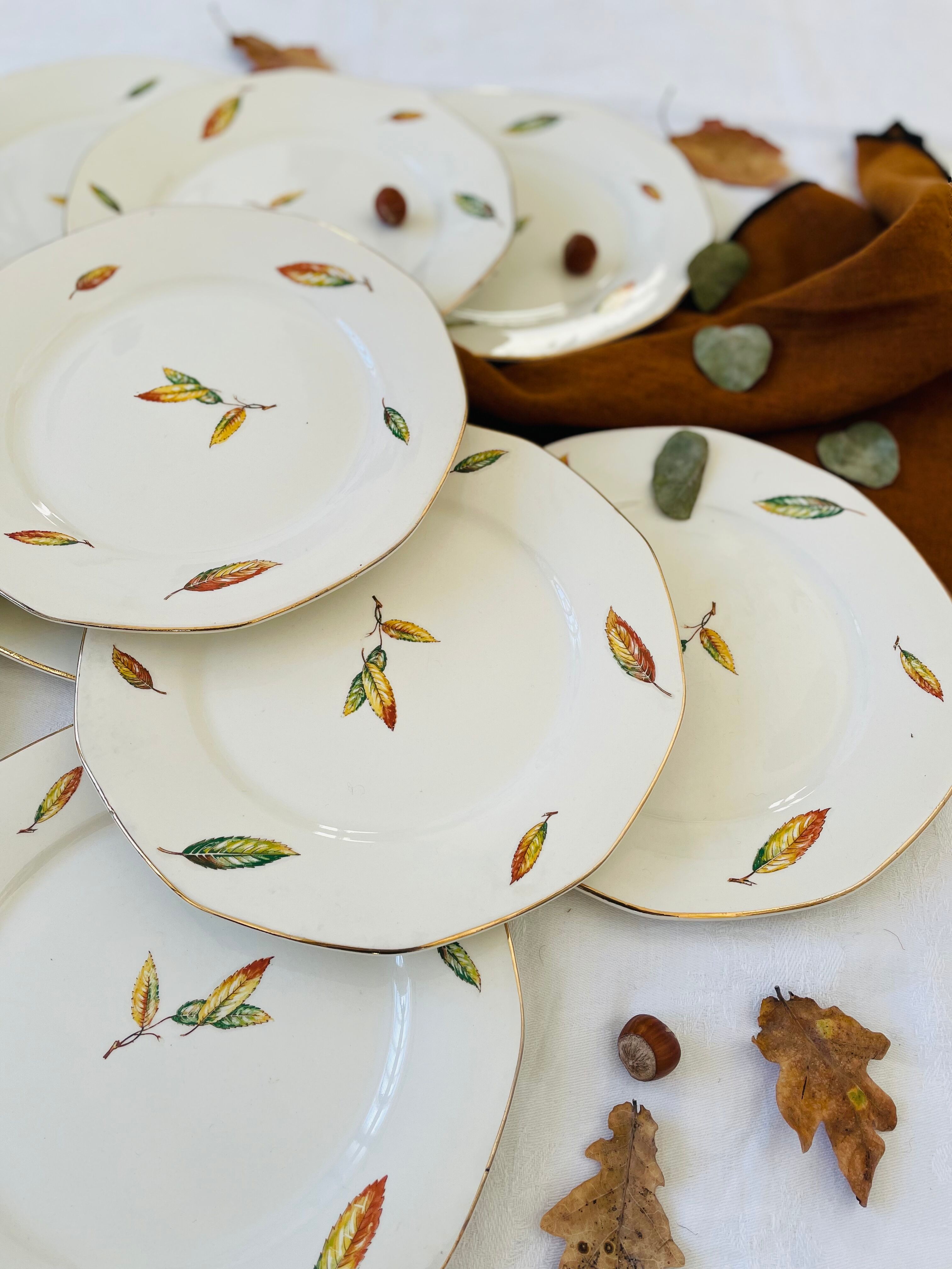 Set of 11 vintage flat plates Digoin Sarreguemines model Nemours