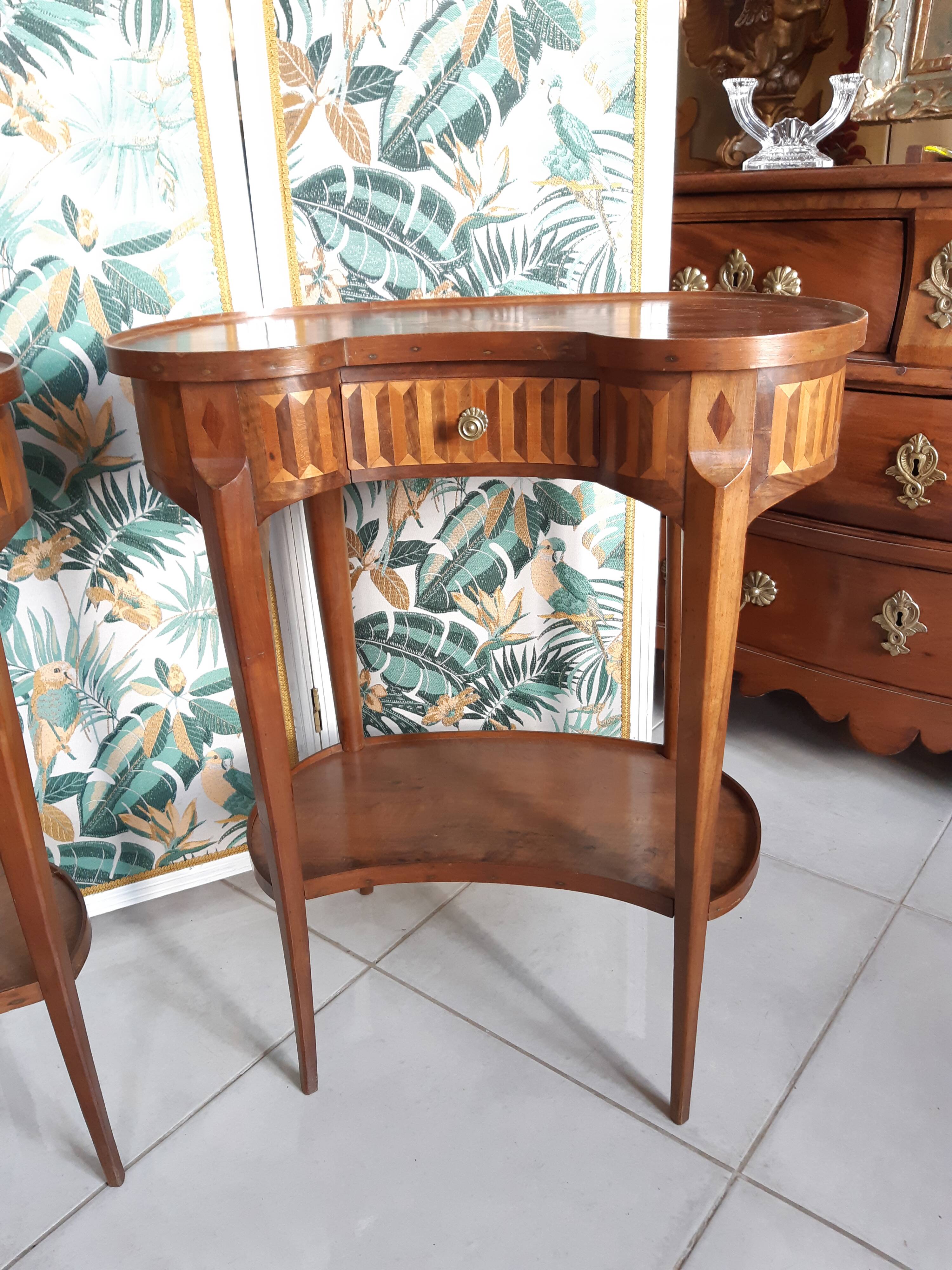 Pair of kidney table