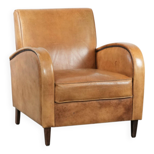 Fauteuil de luxe en cuir - couleurs