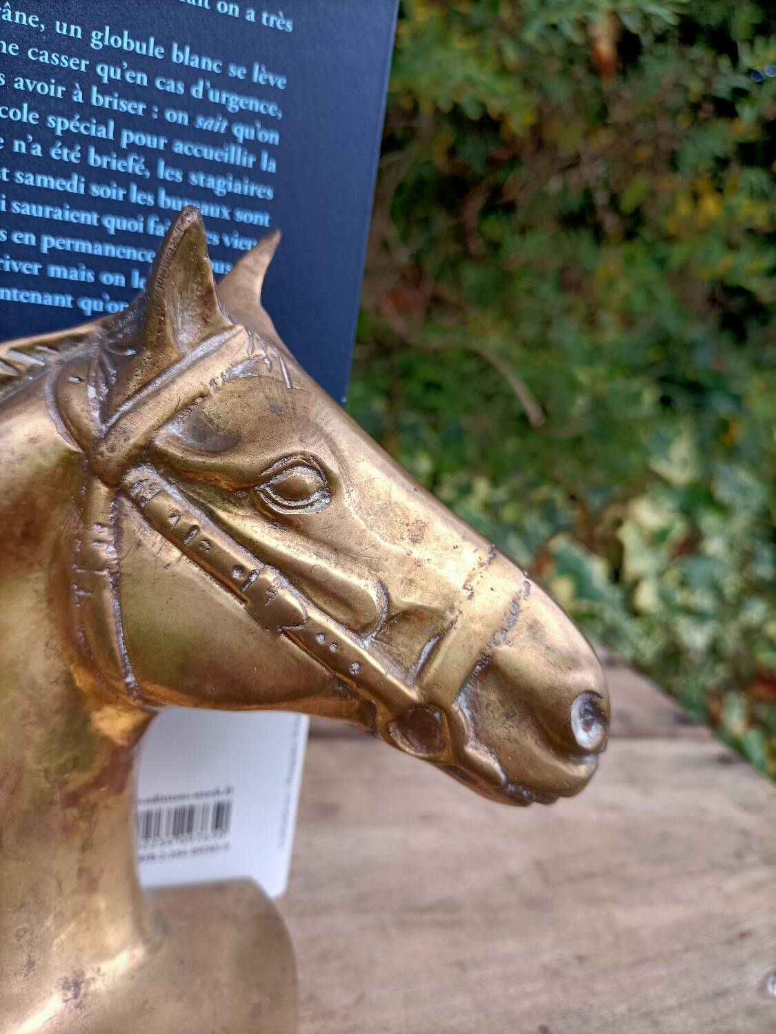 Serres Livres Laiton Cheval Vintage