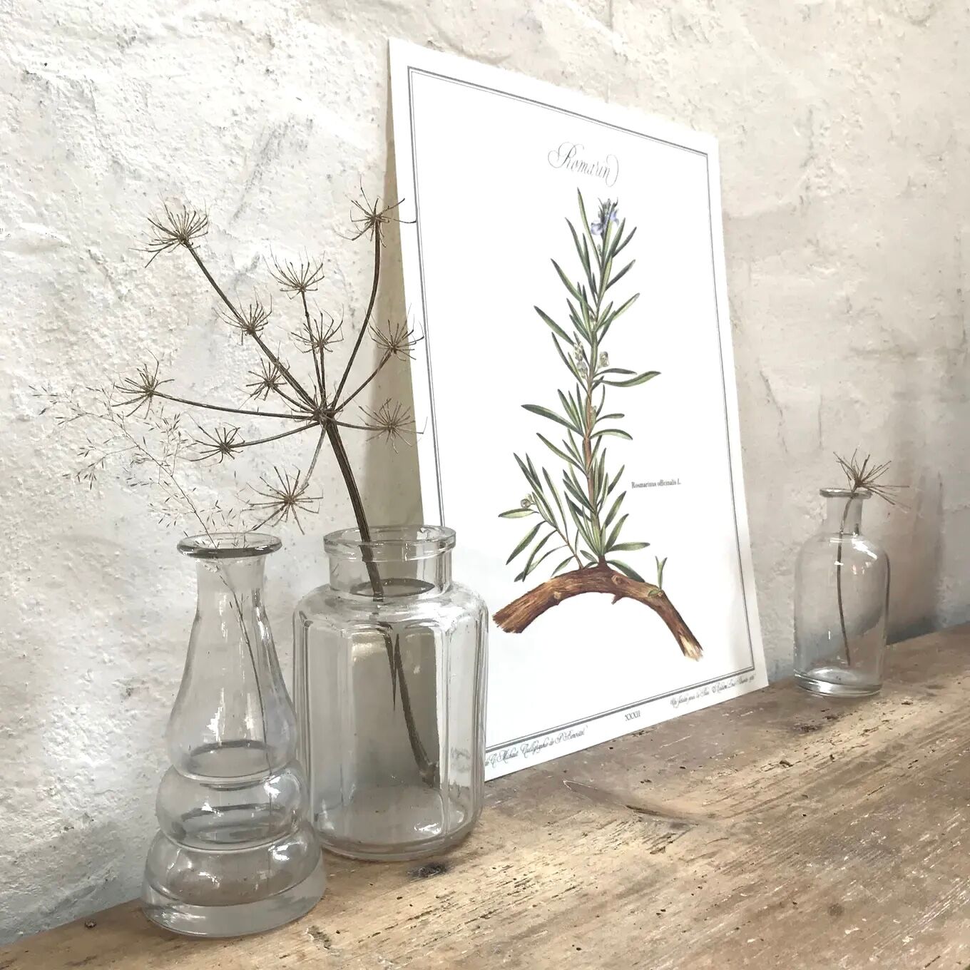 Botanical board rosemary