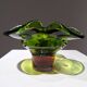 Vintage bowl by F.Zemek 1960s