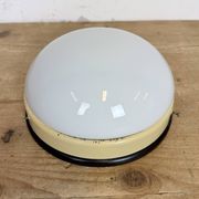 Industrial Bakelite Wall or Ceiling Light with Milk Glass, 1950s