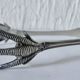 Mappin & webb sugar tongs