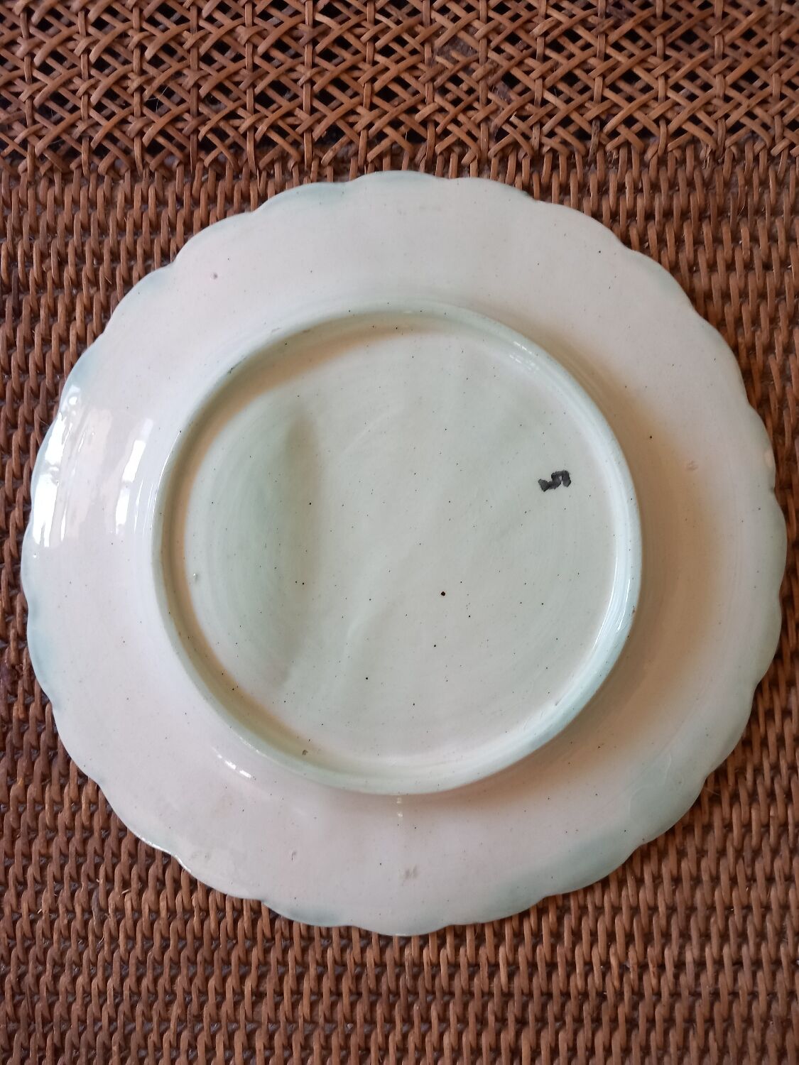 Plate asparagus slurry