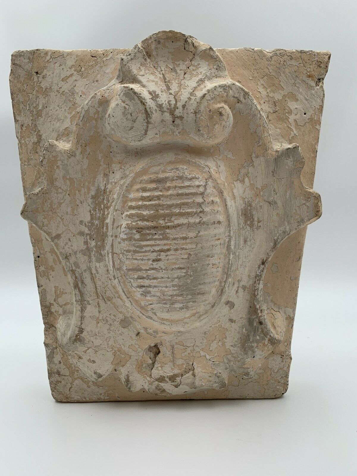 STONE SHELL 19TH PATINA OF ORIGIN SCULPTURE