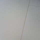 1970 Extension Roundtable