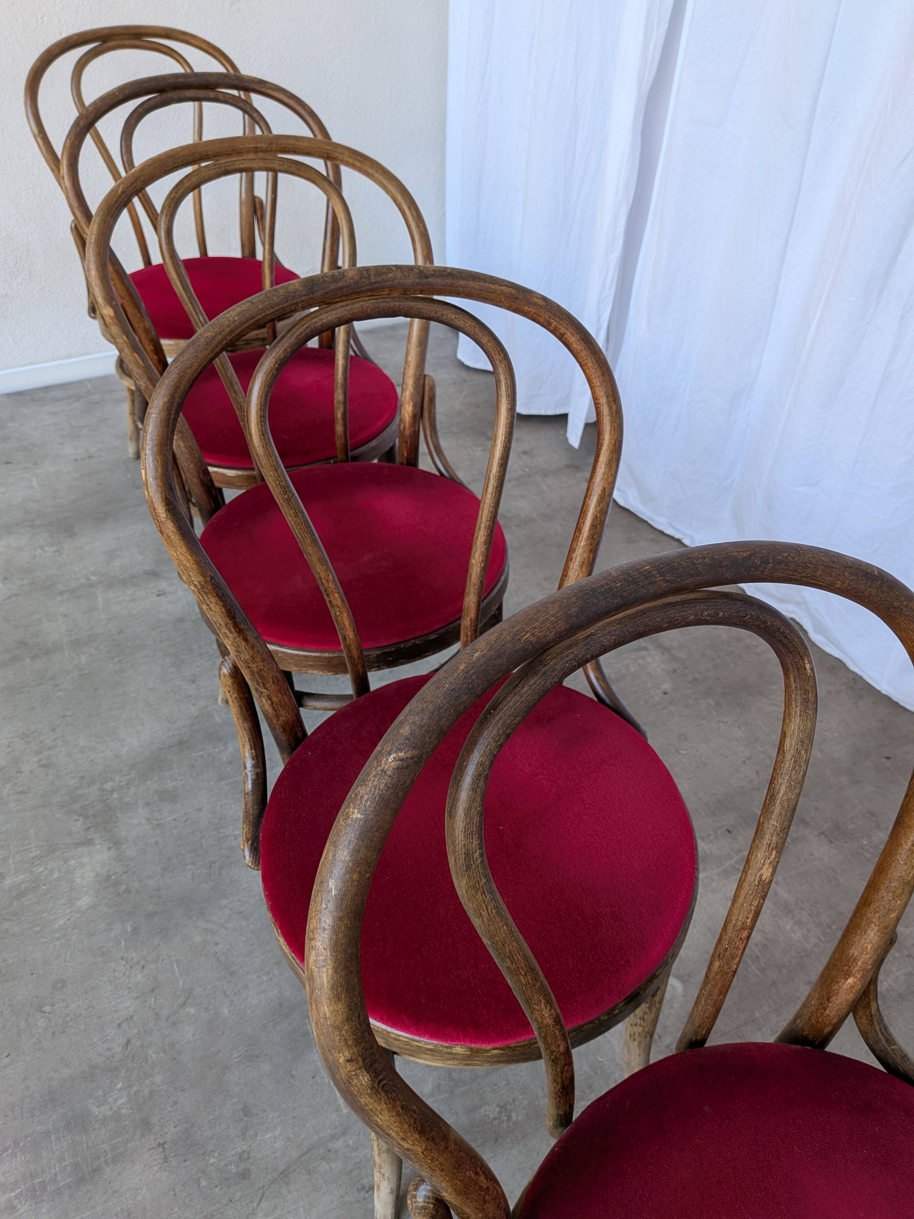 Set of 6 Vintage Bentwood Dining Chairs Set: 1970s , Red Uphols