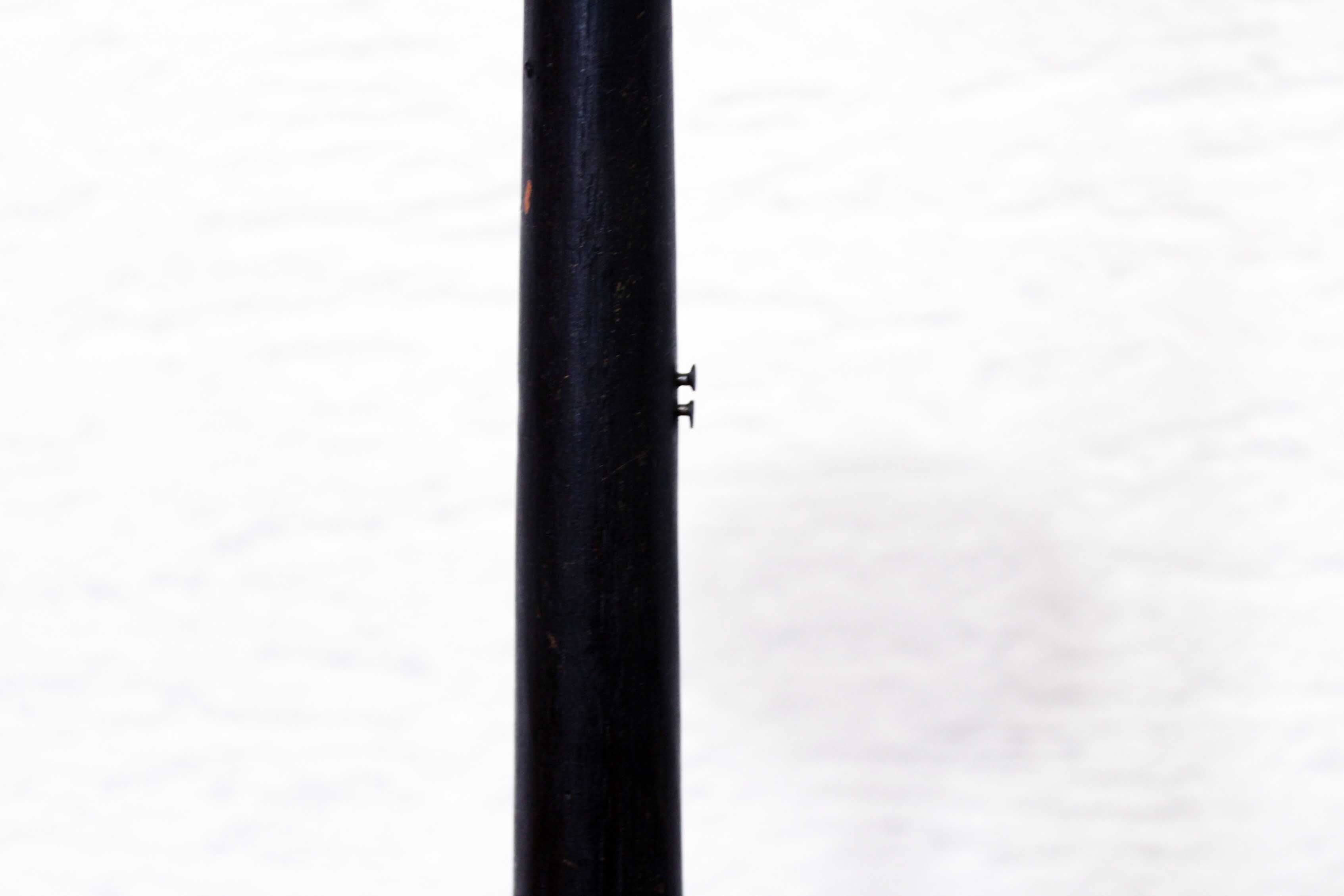 Napoleon III hat wear duo
