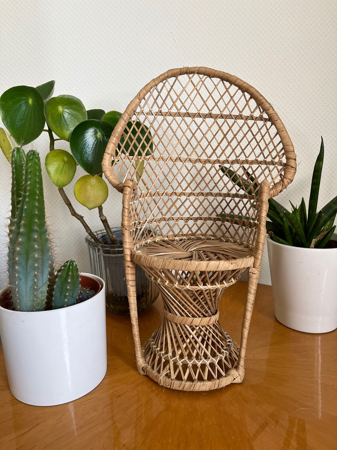 Emmanuelle vintage rattan plant holder