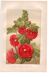 Old engraving from 1889 - Hollyhock. Red floral lithograph.