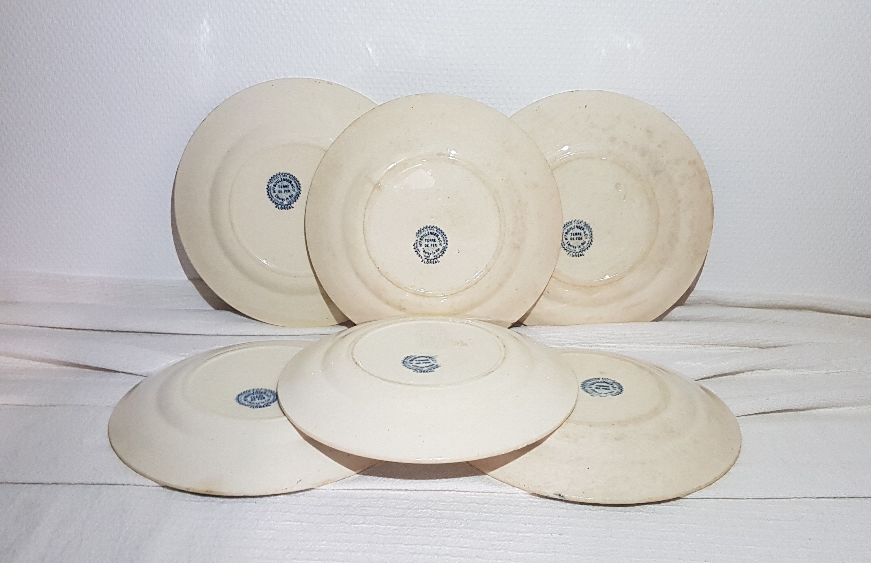 Set of 6 flat earthenware plates from Choisy le Roi model Floreal, iron earth.