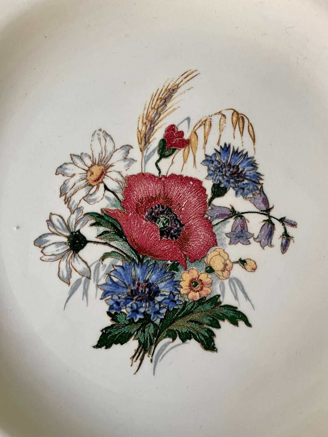 Series of 14 Sarreguemines France flat plates, Agreste collection