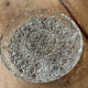 Plat en verre pressé