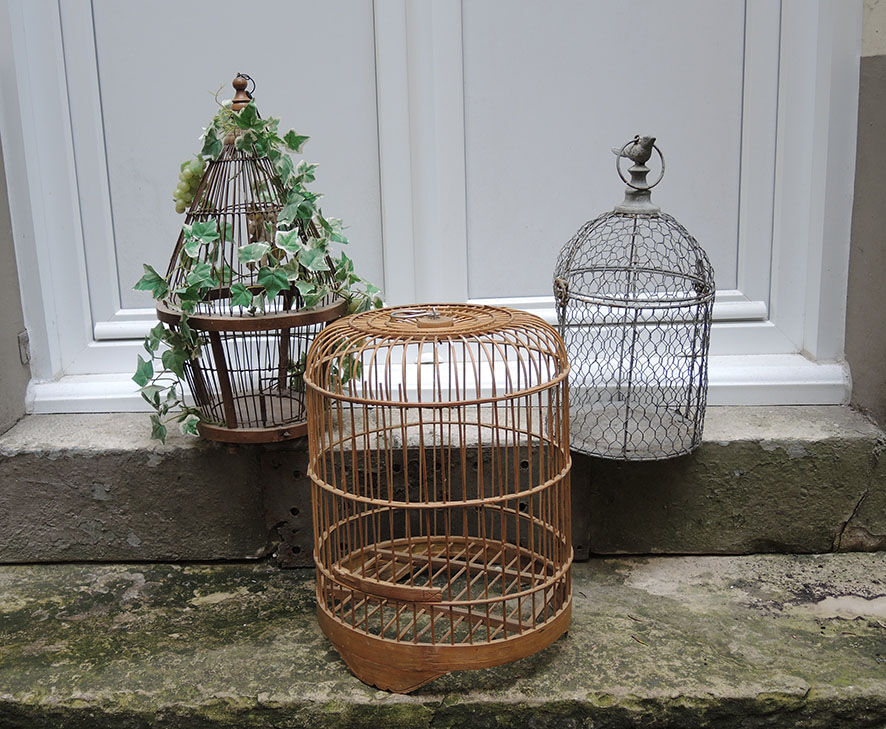 Old Decorative Rattan Bird Cage