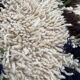 Carpet berbere beni ouarain modern 105x210 cm
