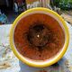 Pair of glazed terracotta planters