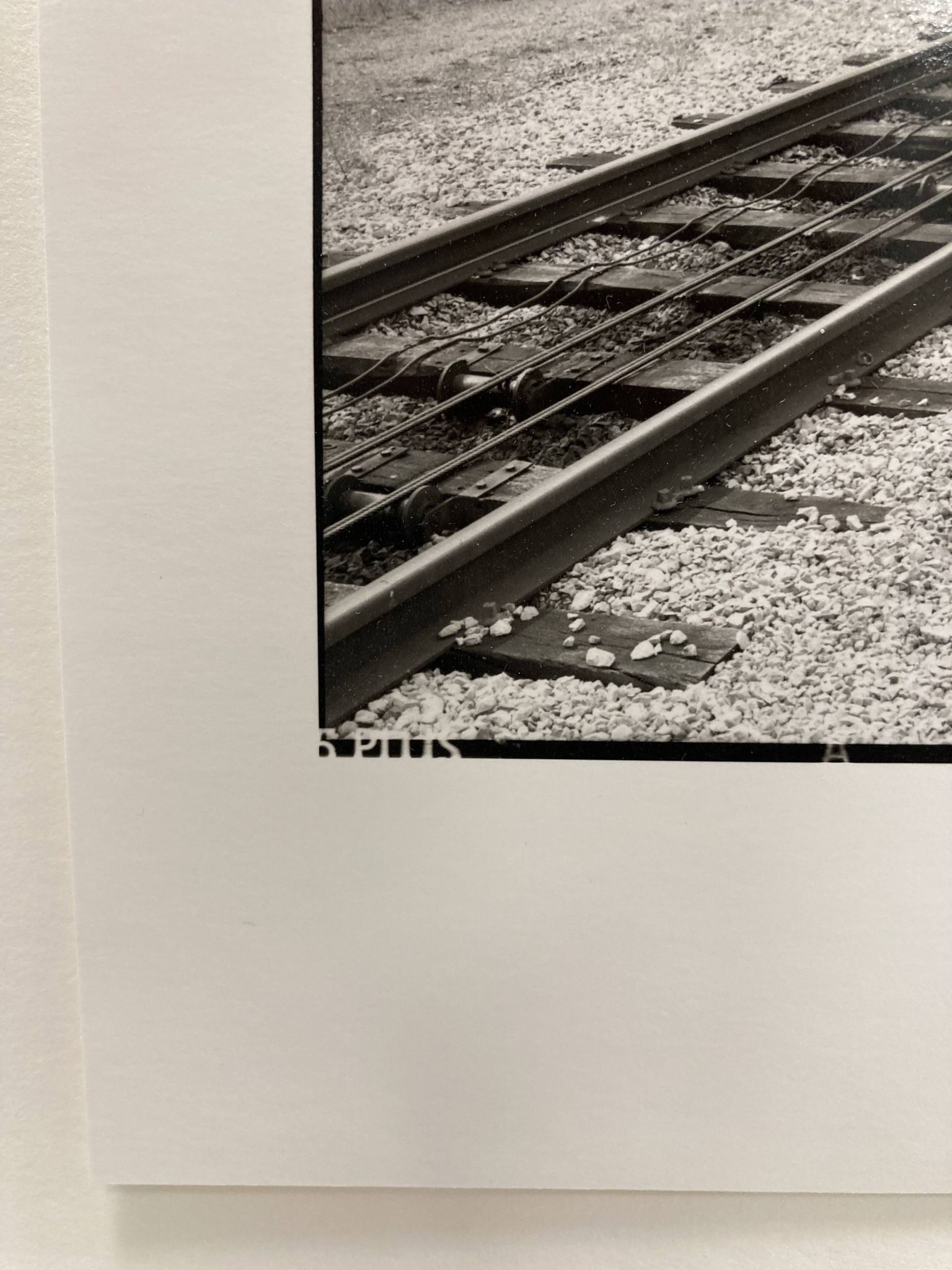 Photographie argentique d'artiste