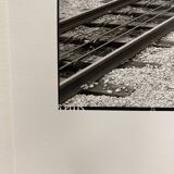 Artist's film photography