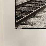 Photographie argentique d'artiste