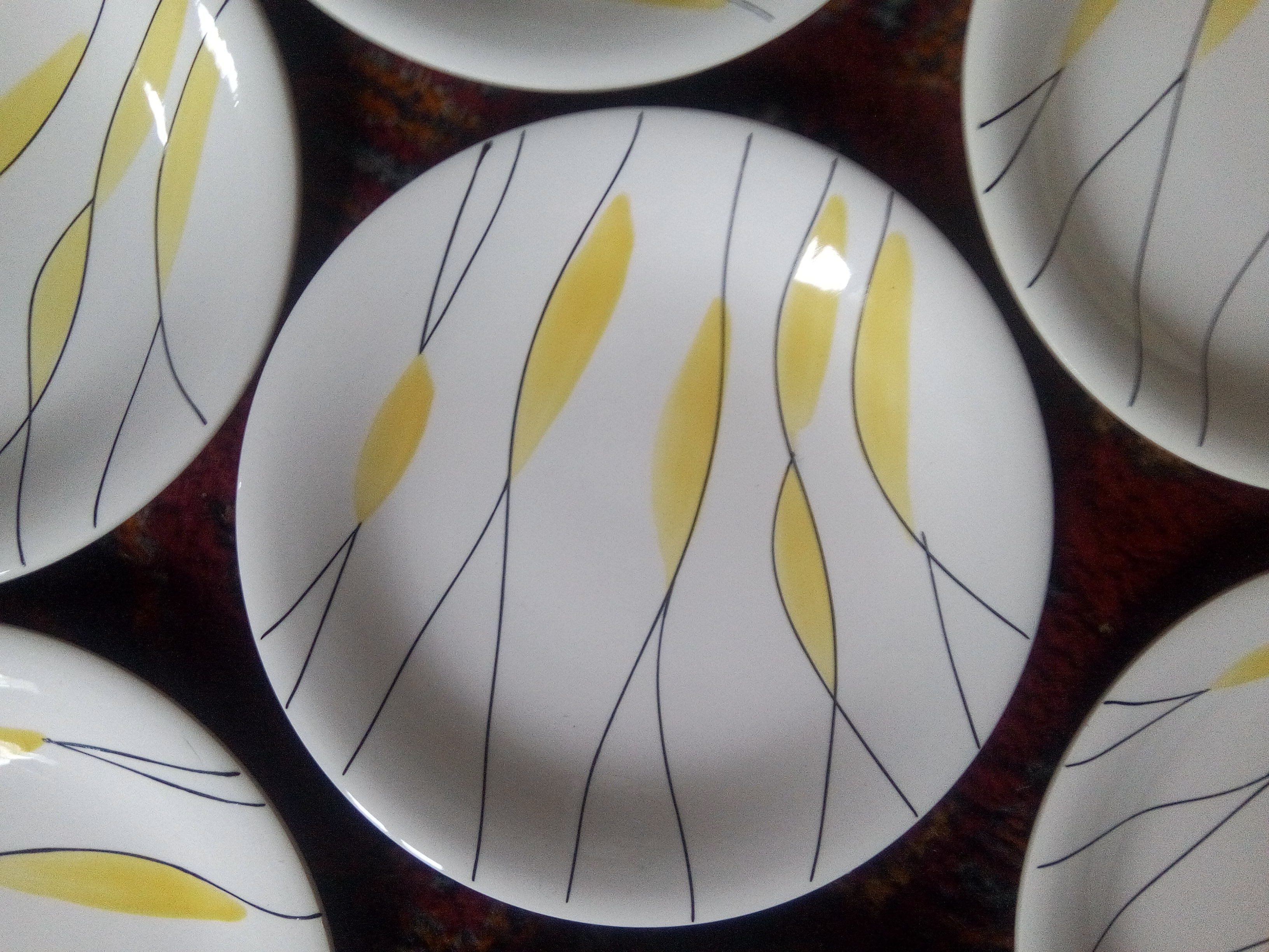 Salins "Moonlight" plates