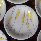 Salins "Moonlight" plates