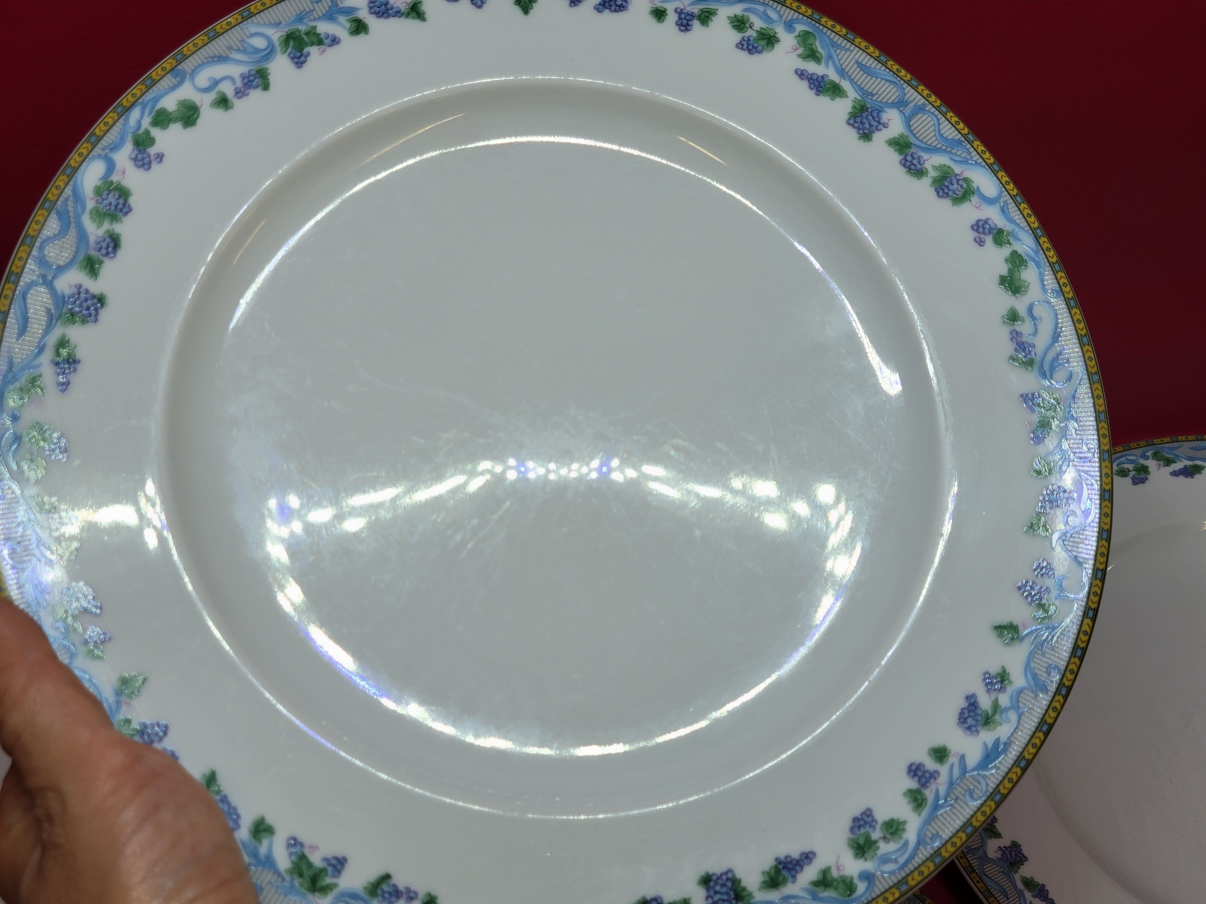 5 large flat plates guy degrenne model tuscany porcelain limoges
