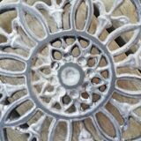 Cast iron trifle