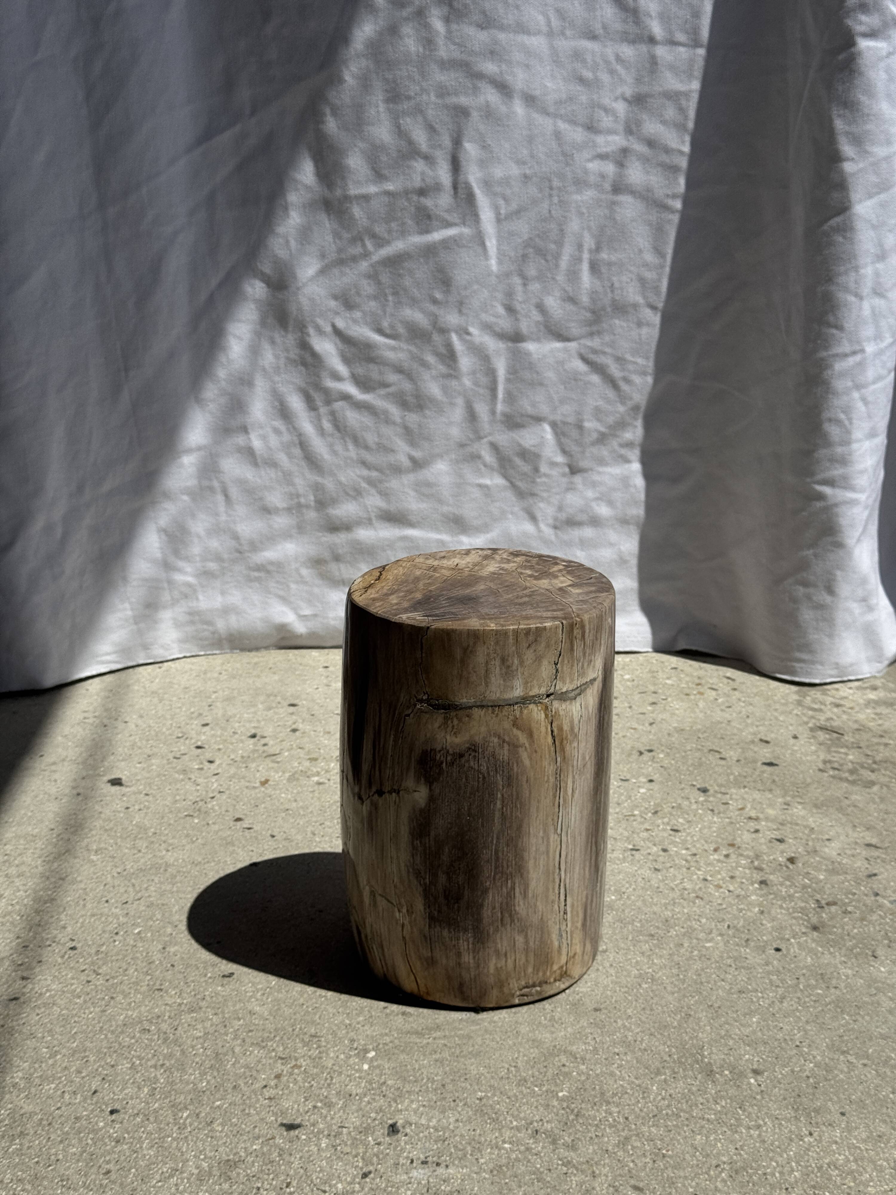 Petite table d'appoint en bois pétrifié beige gris H28 D18 - 3325