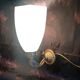 Golden brass wall light with glass tulip - dolphin pattern bathroom lamp